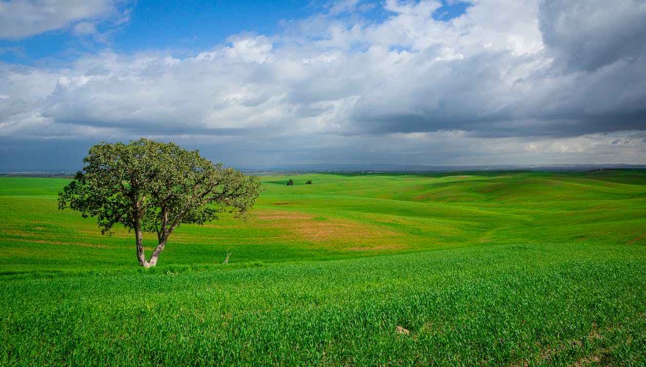 10 Reasons We Love Buying Land in Kentucky